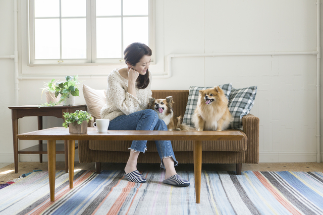 愛犬と過ごすリビングルームの様子