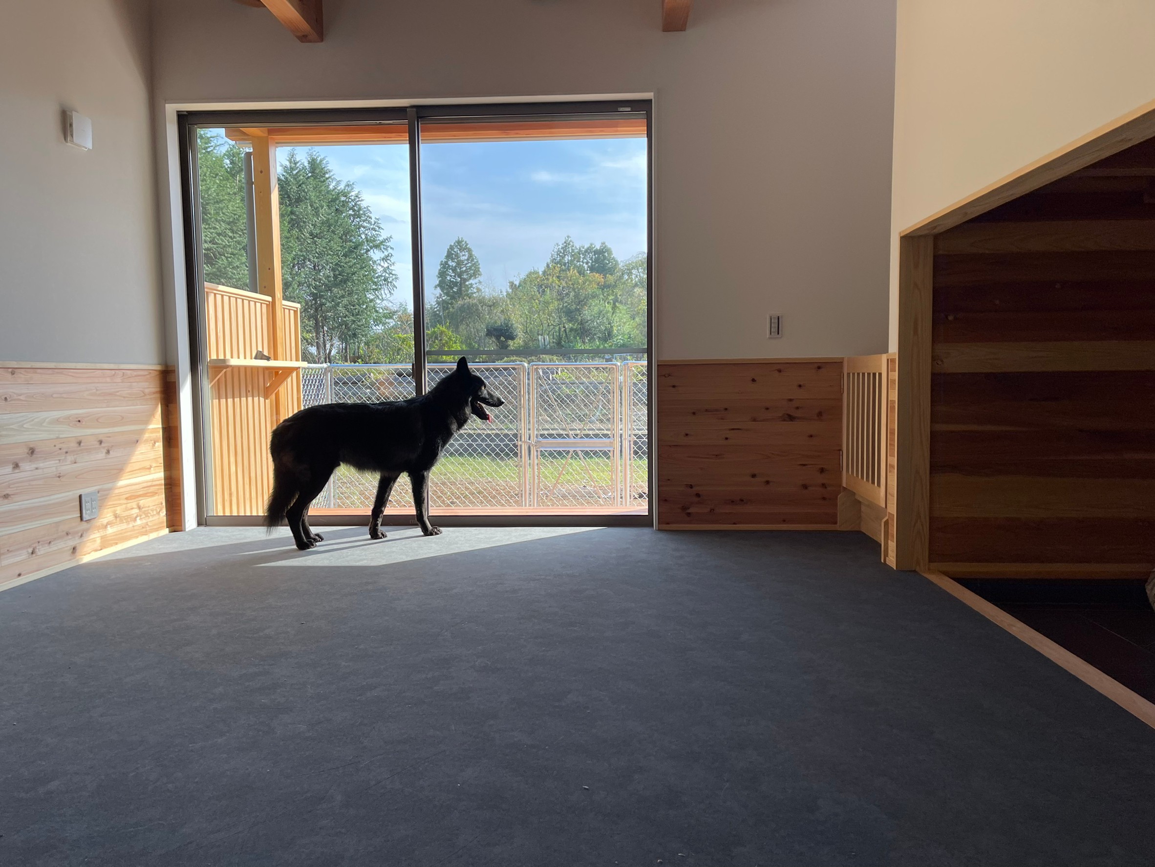 大型犬2頭と暮らす家 吉澤建設工業 大型犬2頭と暮らす家 吉澤建設工業